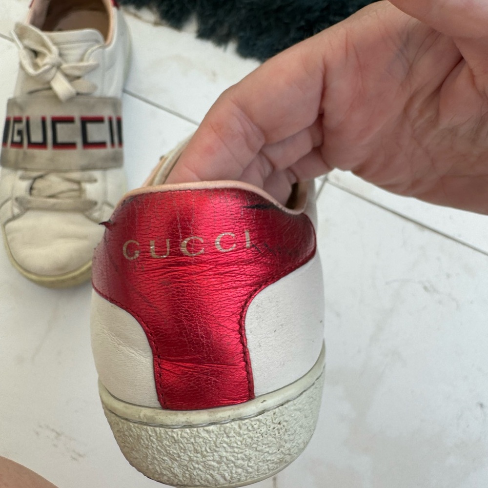 Gucci sneakers